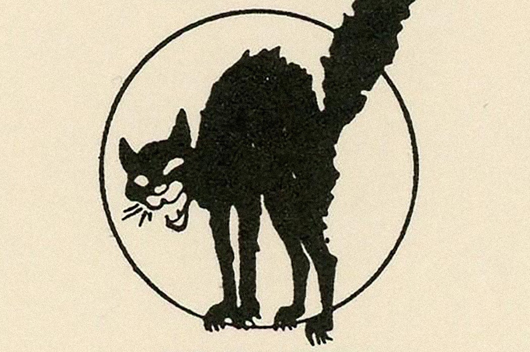 Nine Black Cat Stickers - JSTOR Daily